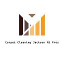 Carpet Cleaning Jackson MS Pros logo